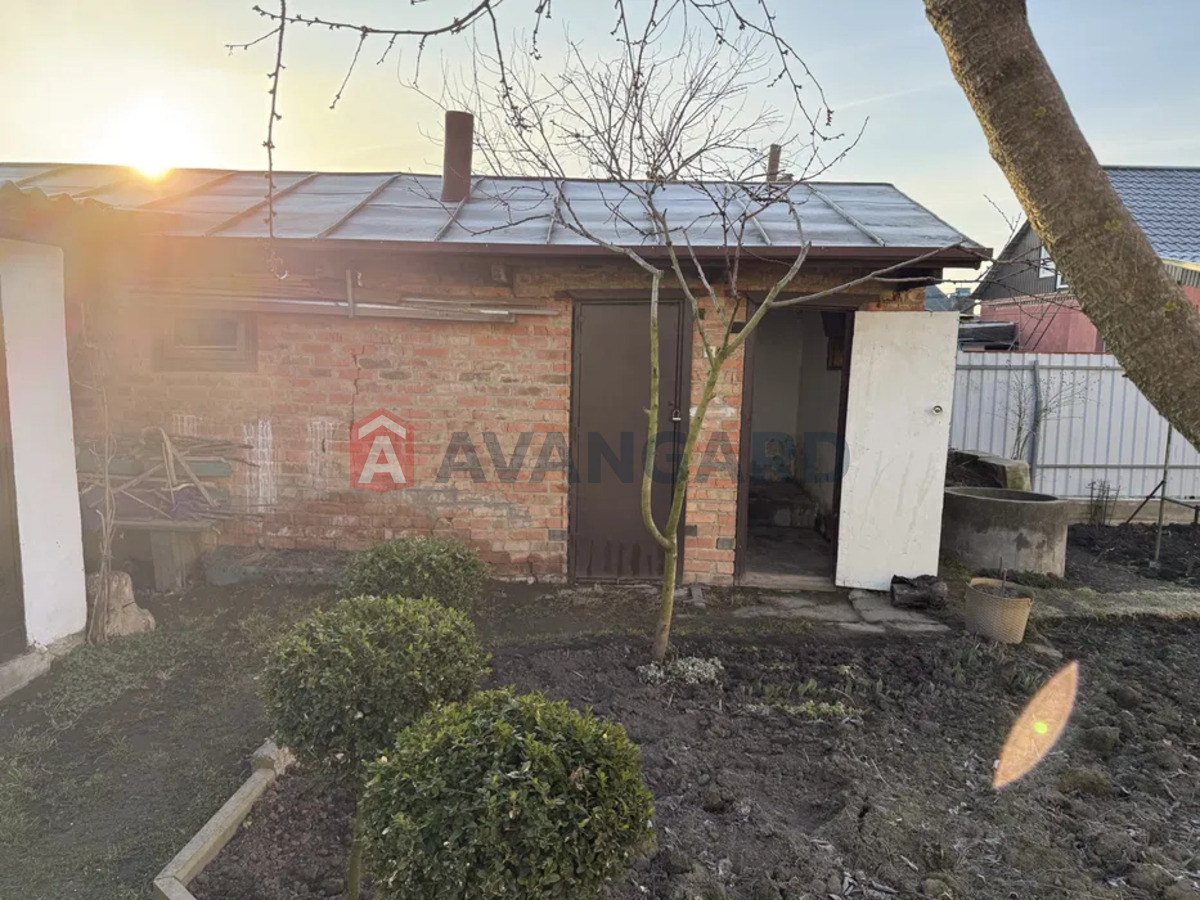 ����� ����, 50 ��.�. ���� 15