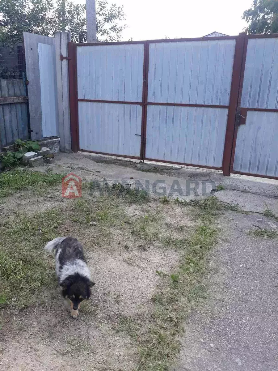 ���, 64 ��.�. ���� 12