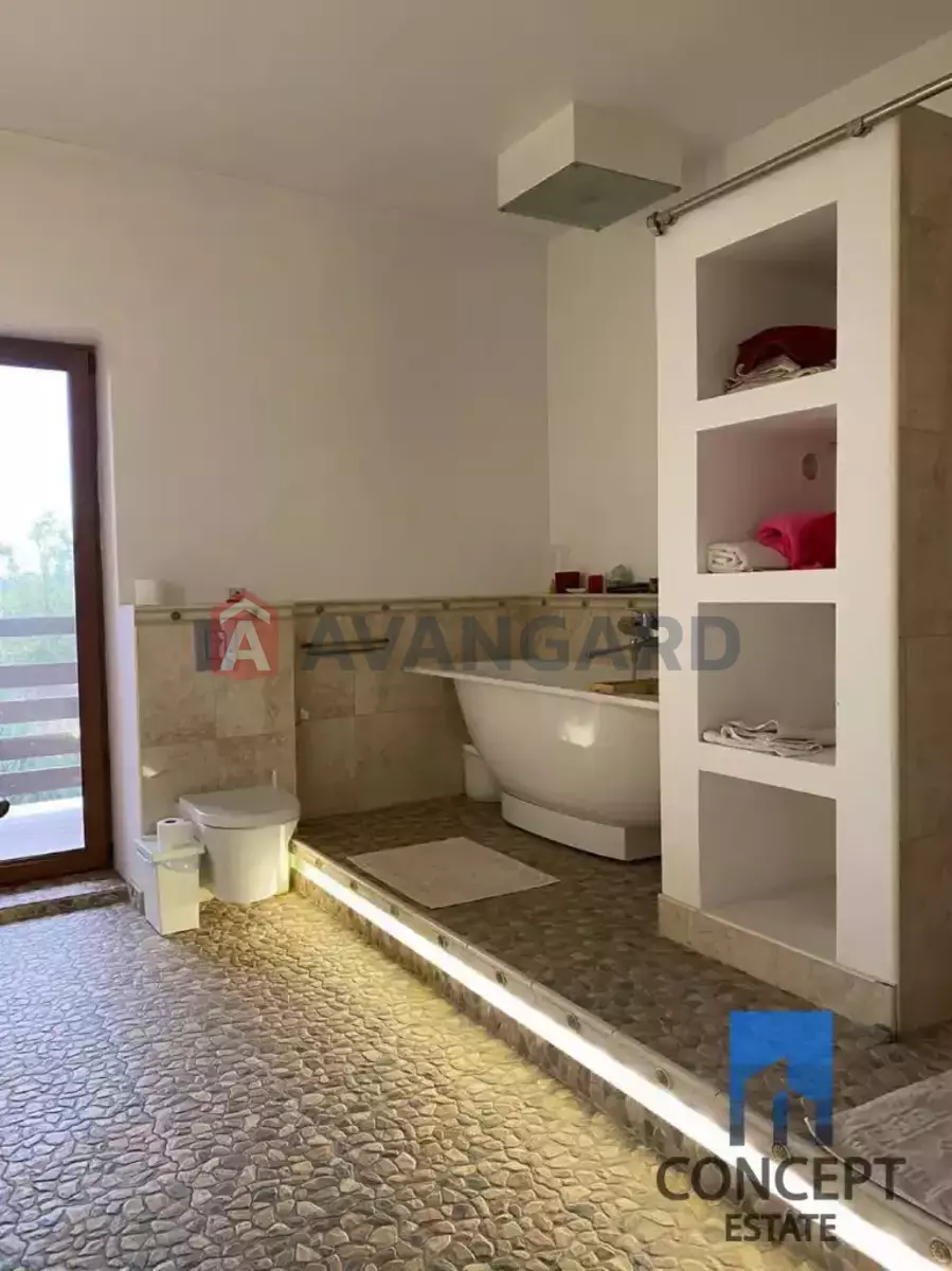 �������, 221 ��.�. ���� 13