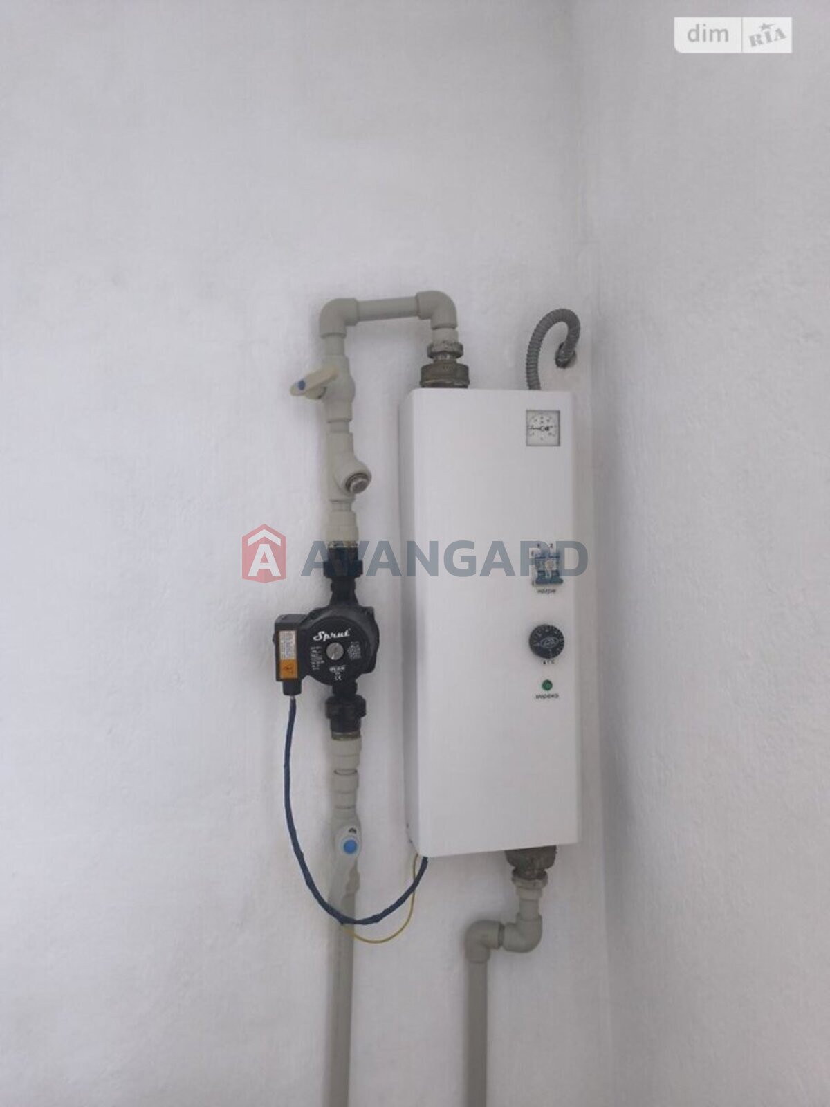 �������, 83 ��.�. ���� 11