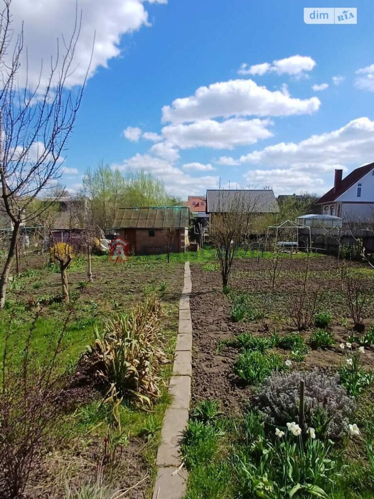 ���, 80 ��.�. ���� 10