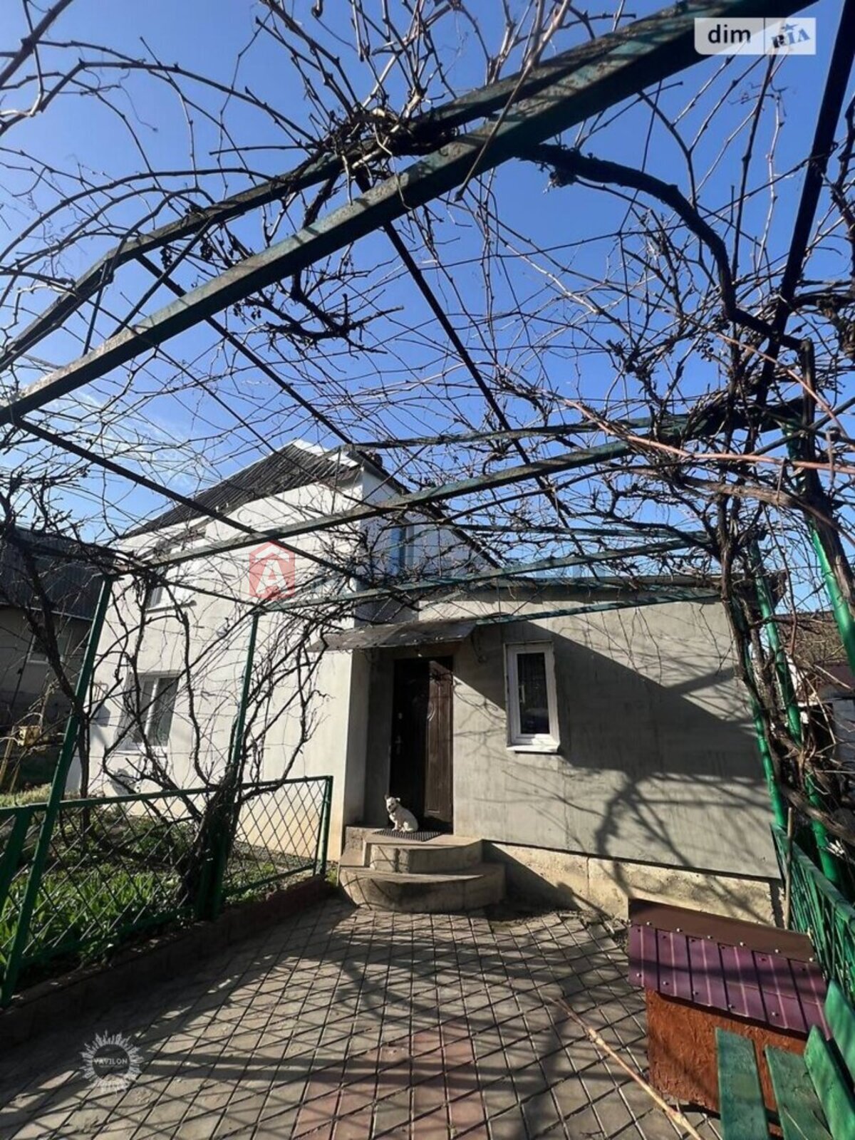 �������, 90 ��.�. ���� 5