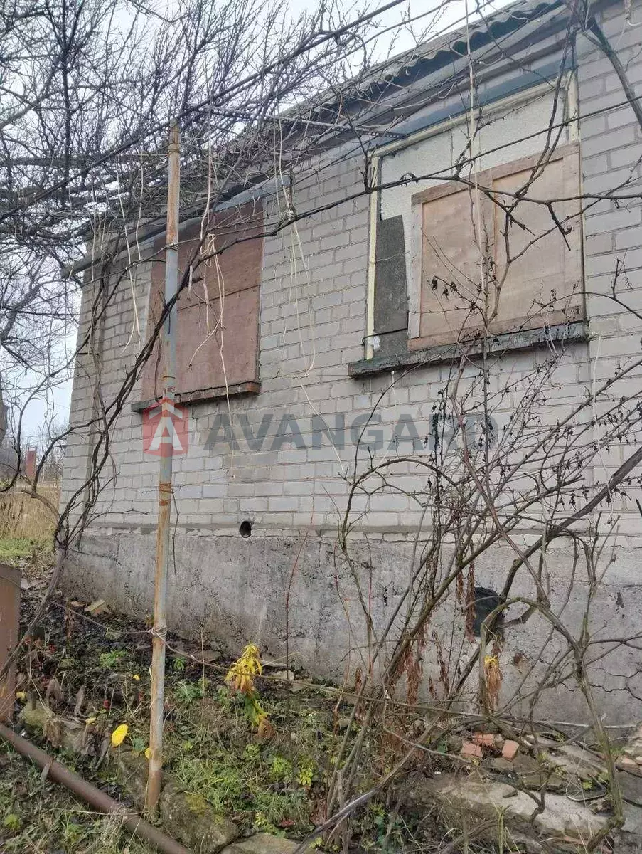 ����, 20 ��.�. ���� 8