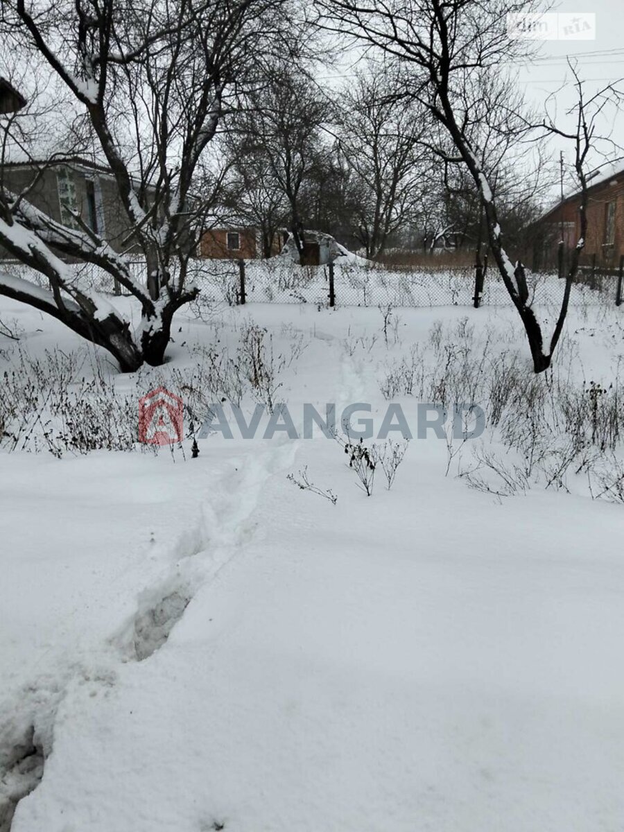 �������, 40 ��.�. ���� 4