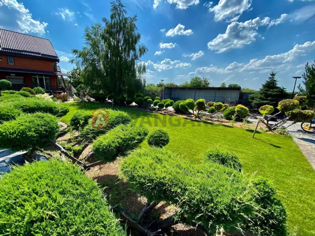 �������, 166 ��.�. ���� 8