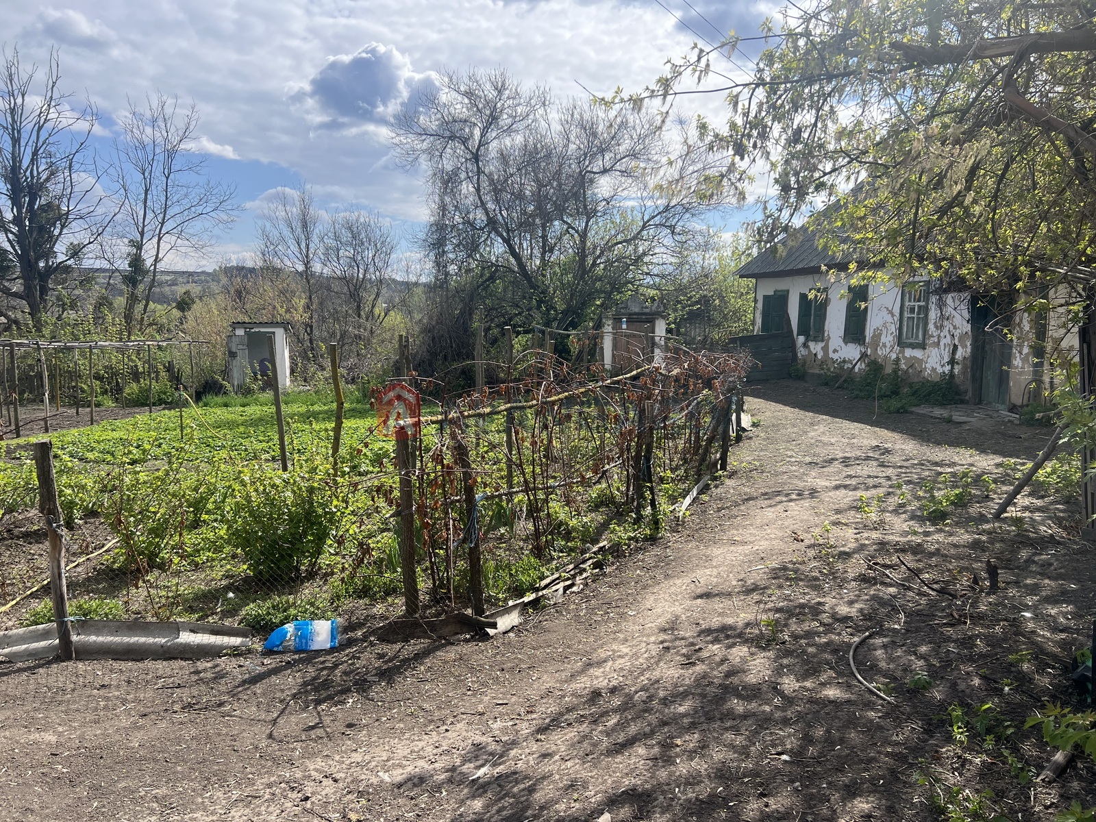 �������, 50 ��.�. ���� 2