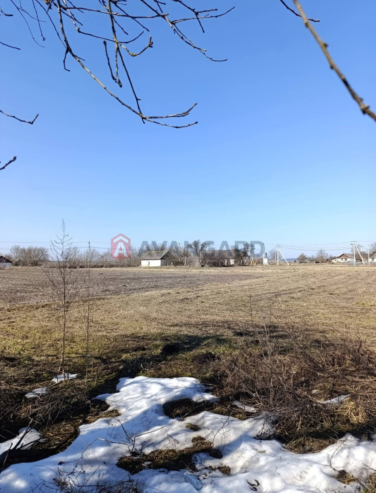 �������, 79 ��.�. ���� 6