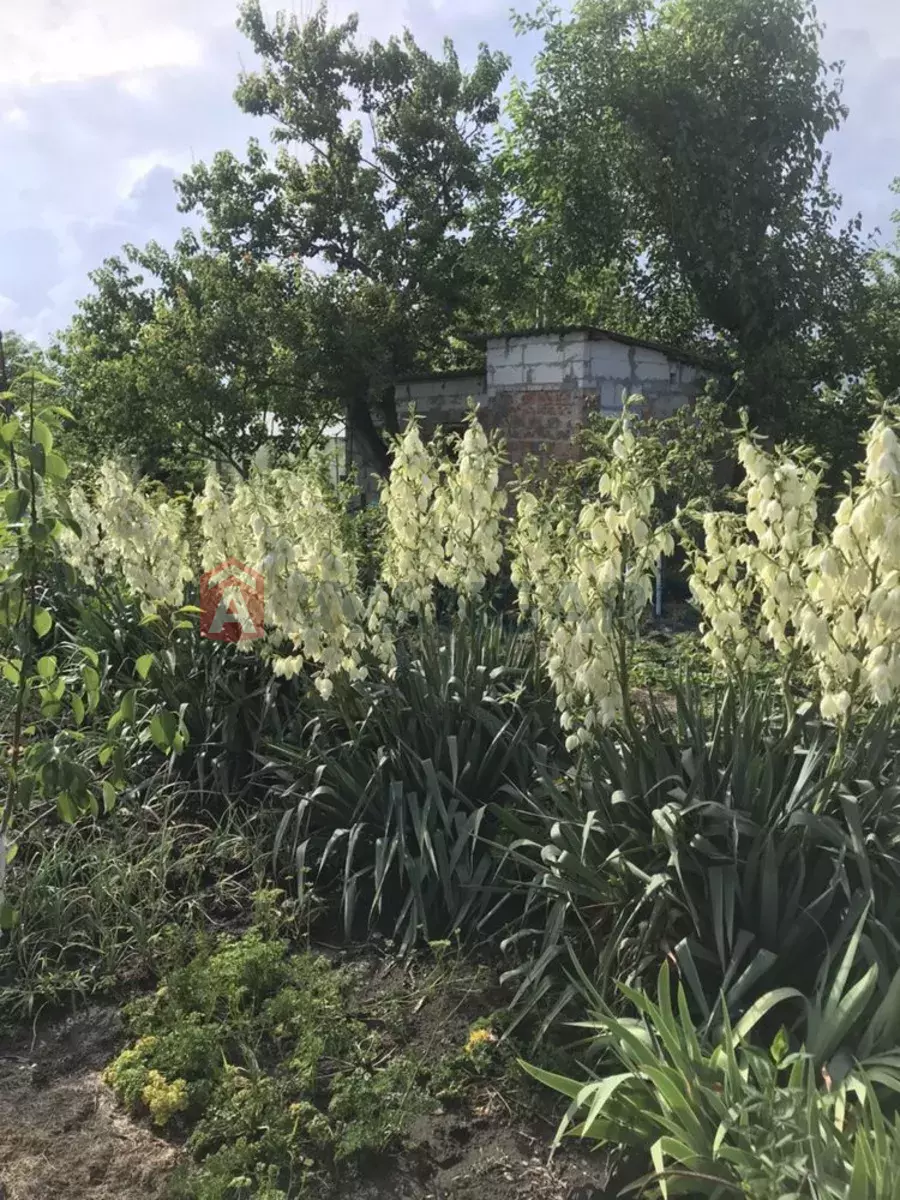 ����, 40 ��.�. ���� 2