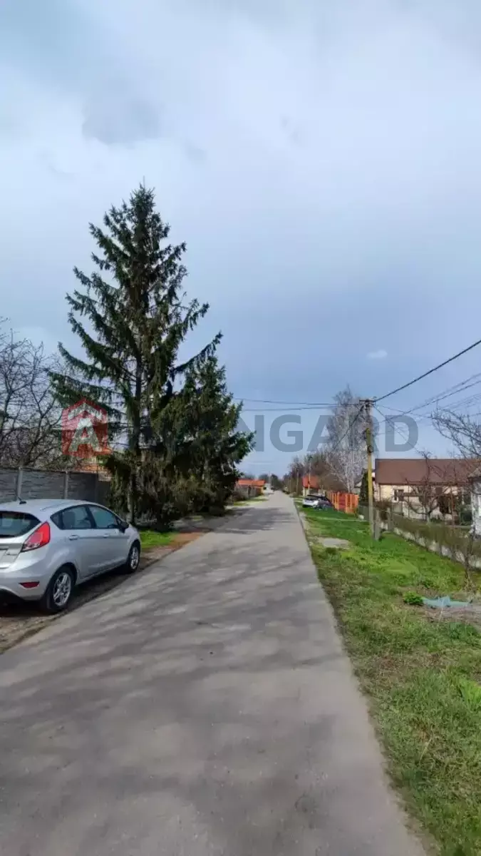 �������, 92 ��.�. ���� 19