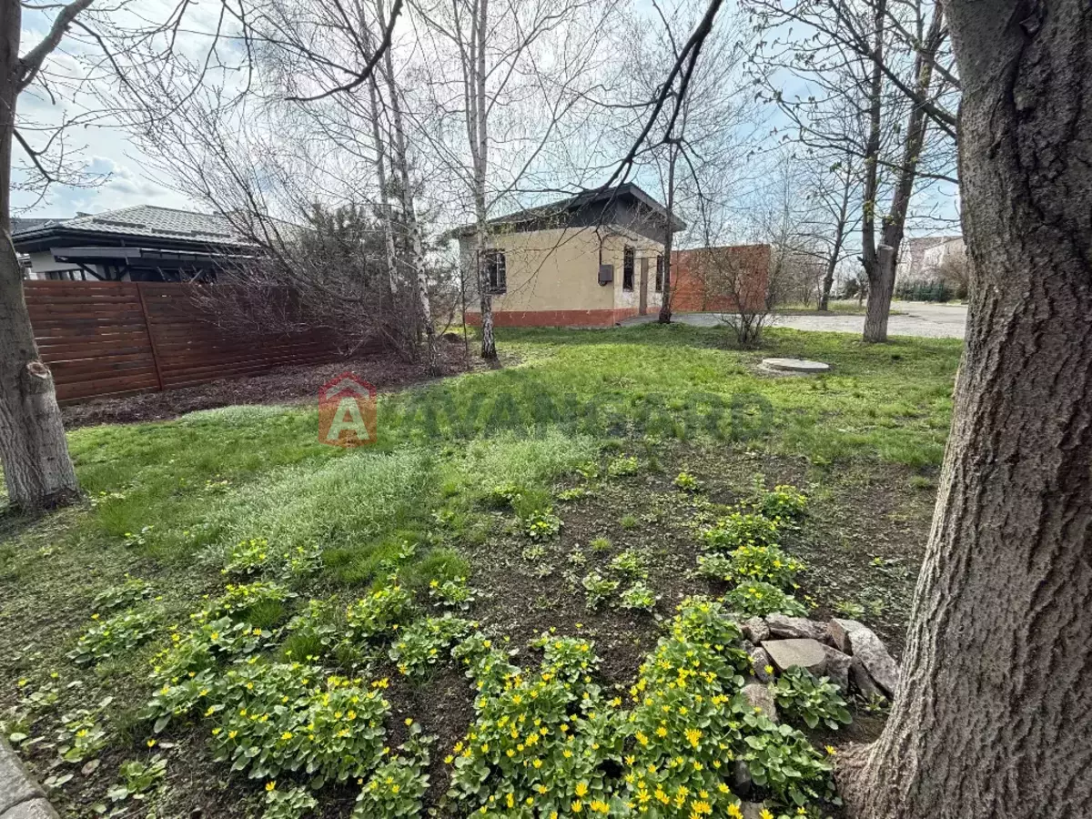 �������, 39 ��.�. ���� 2