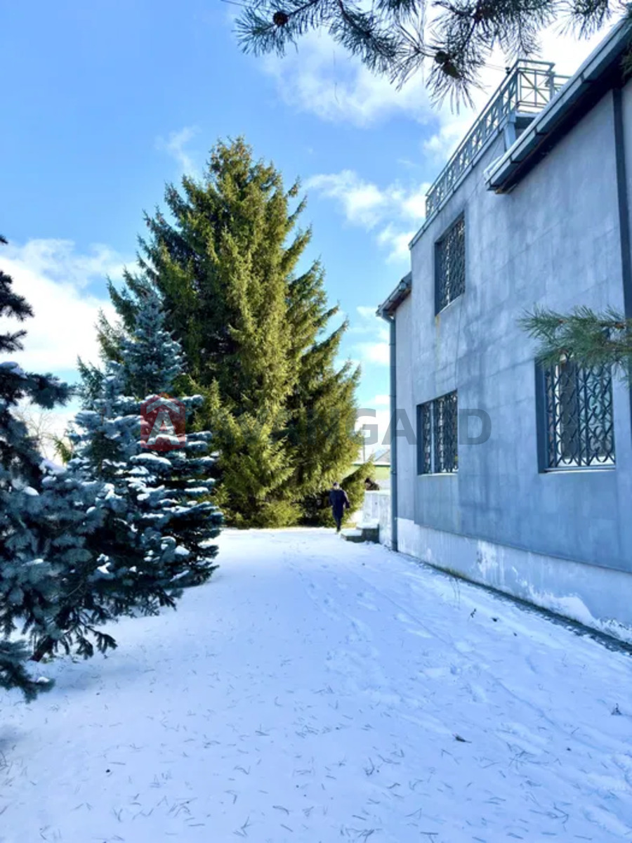 �������, 350 ��.�. ���� 2