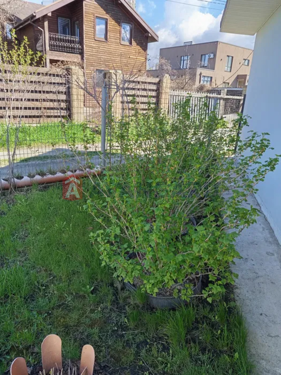 125 ��.�. ���� 5