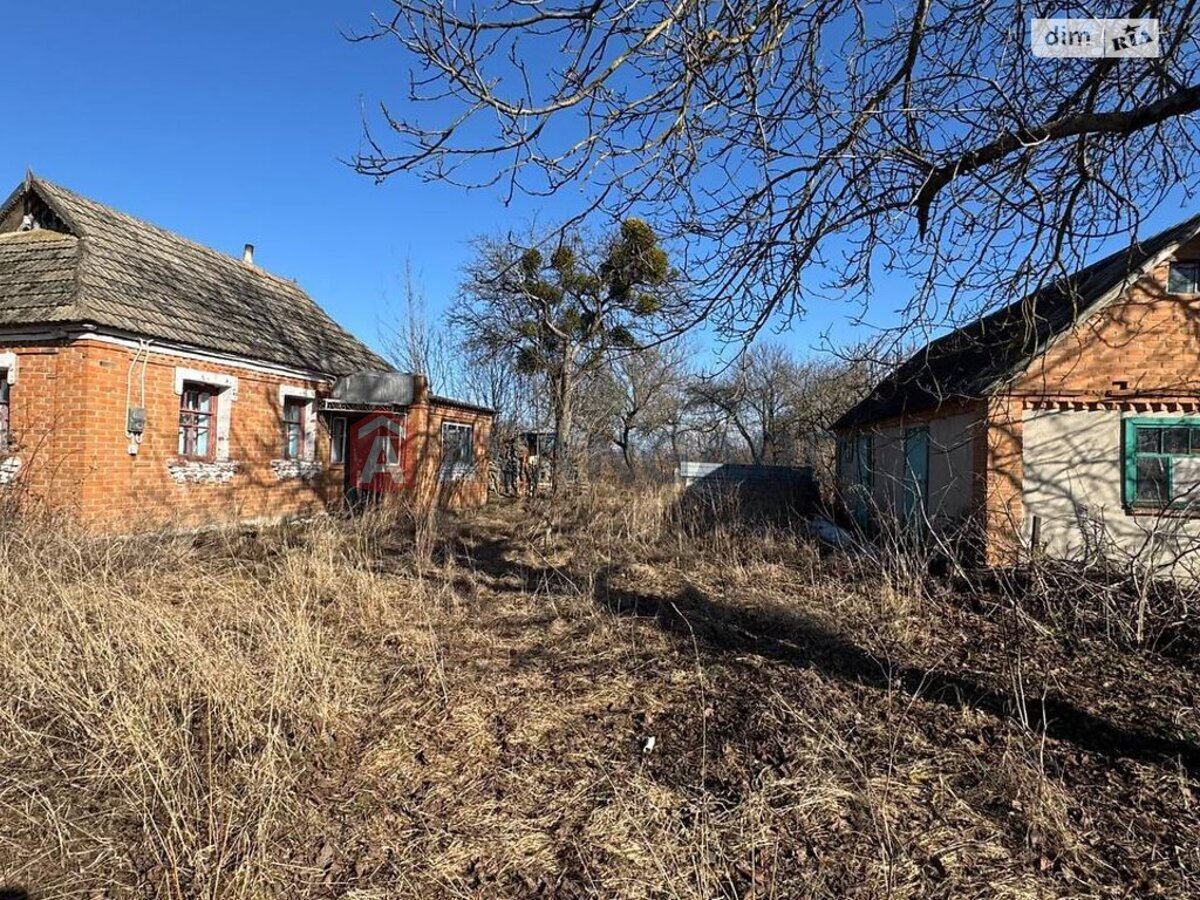 �������, 48 ��.�. ���� 8