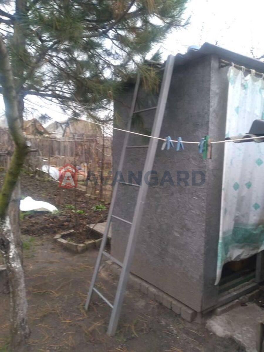 ������� �������, 50 ��.�. ���� 11