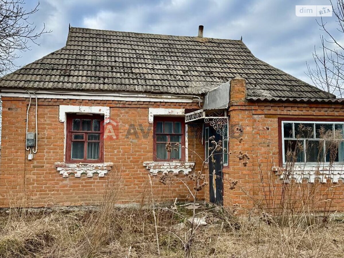 �������, 48 ��.�. ���� 3