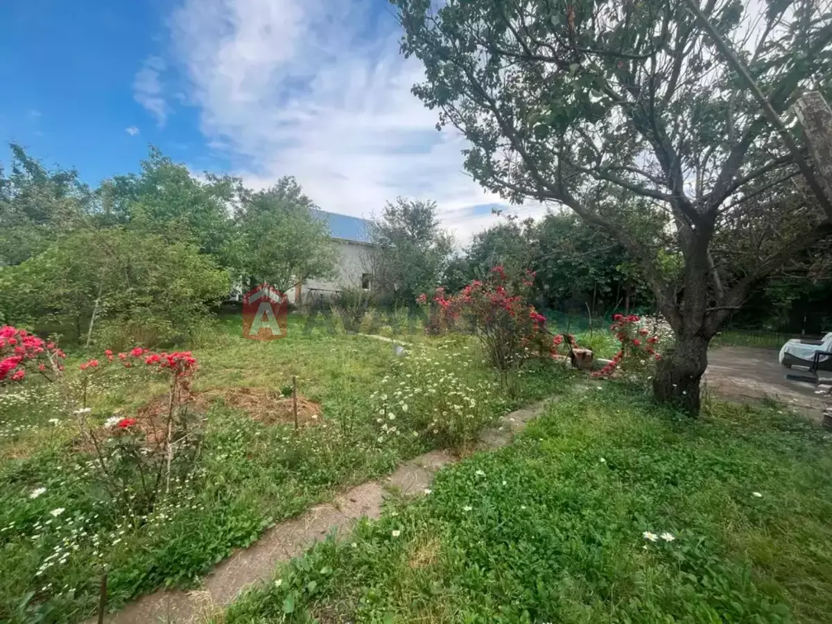 ����, 60 ��.�. ���� 5