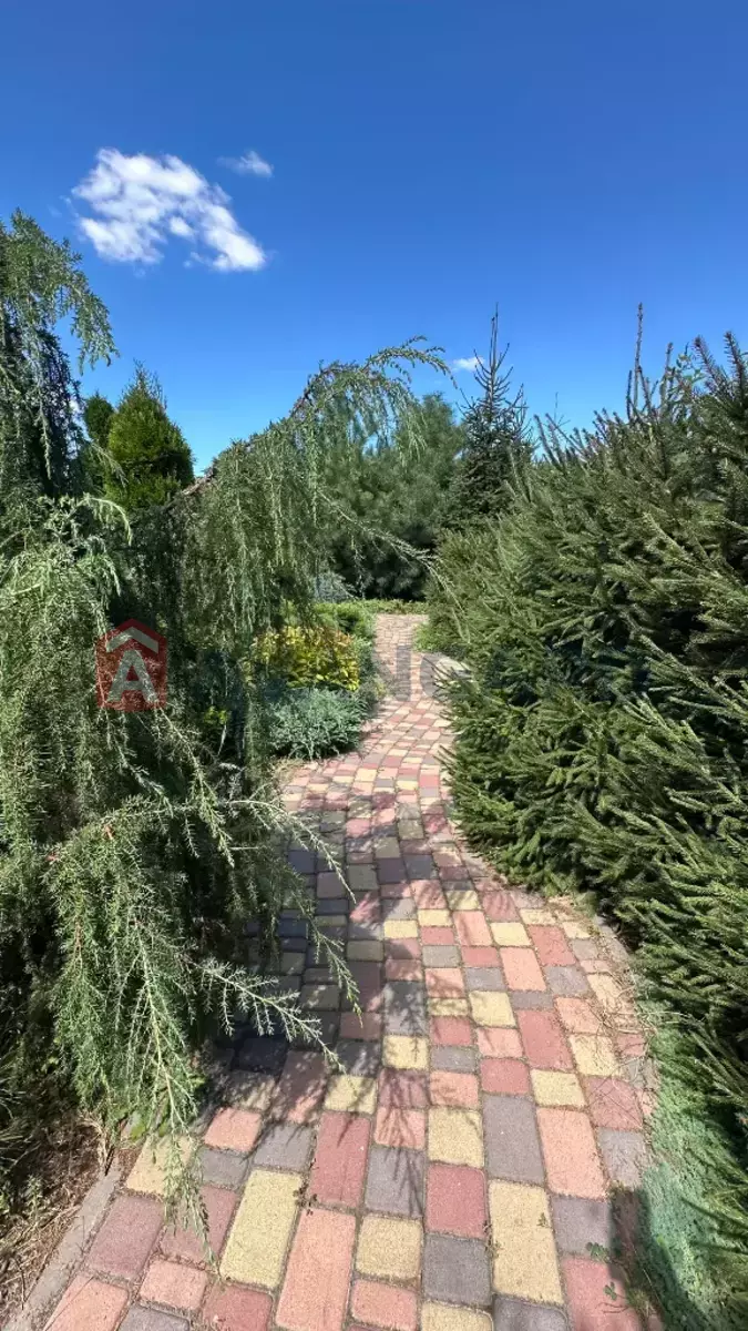 ����, 100 ��.�. ���� 14