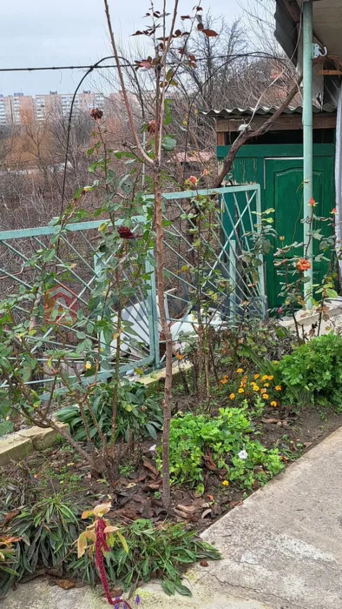 �������, 56 ��.�. ���� 13