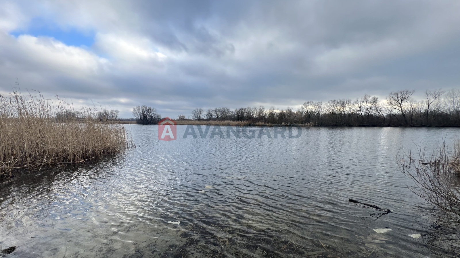 ���, 310 ��.�. ���� 30