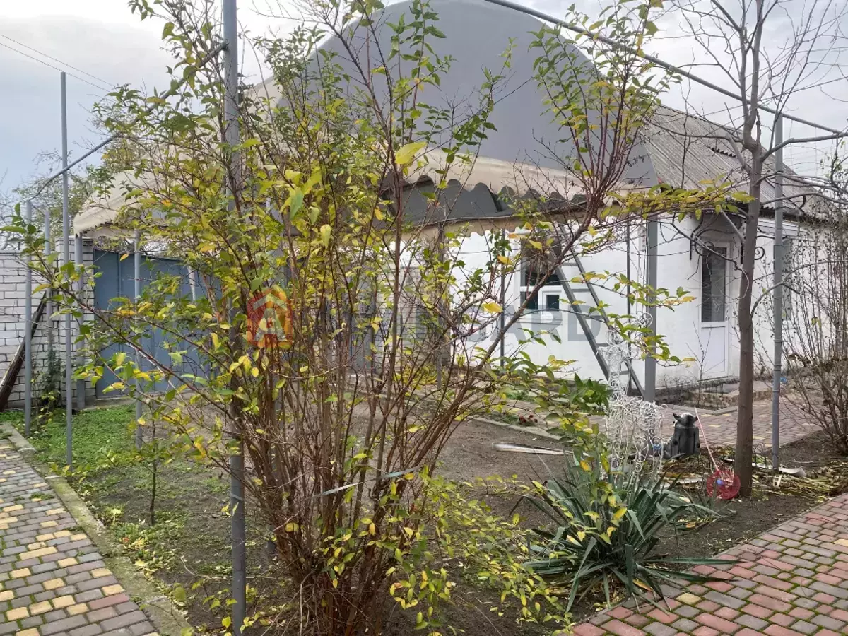 �������, 92 ��.�. ���� 6