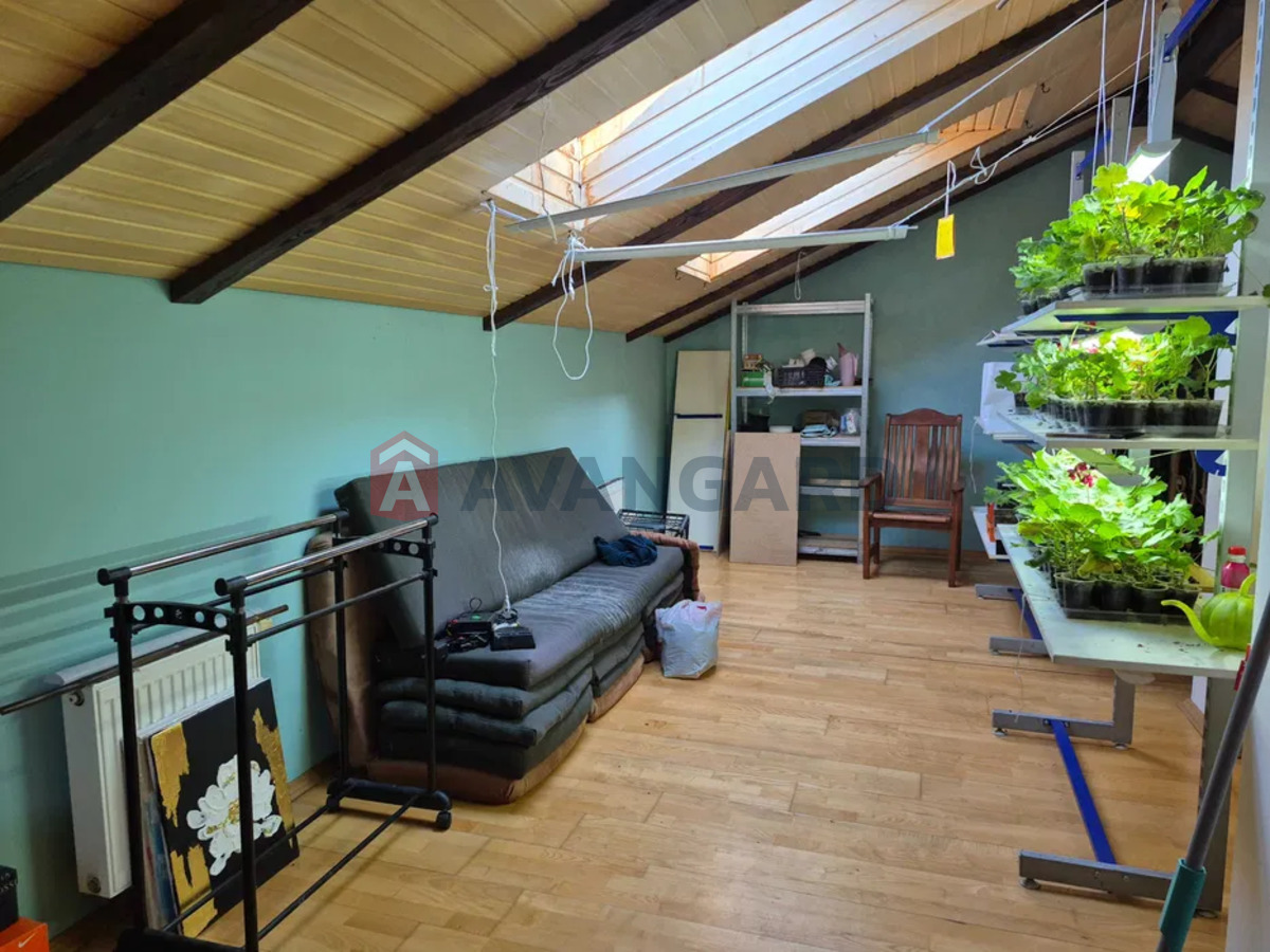 �������, 176 ��.�. ���� 20