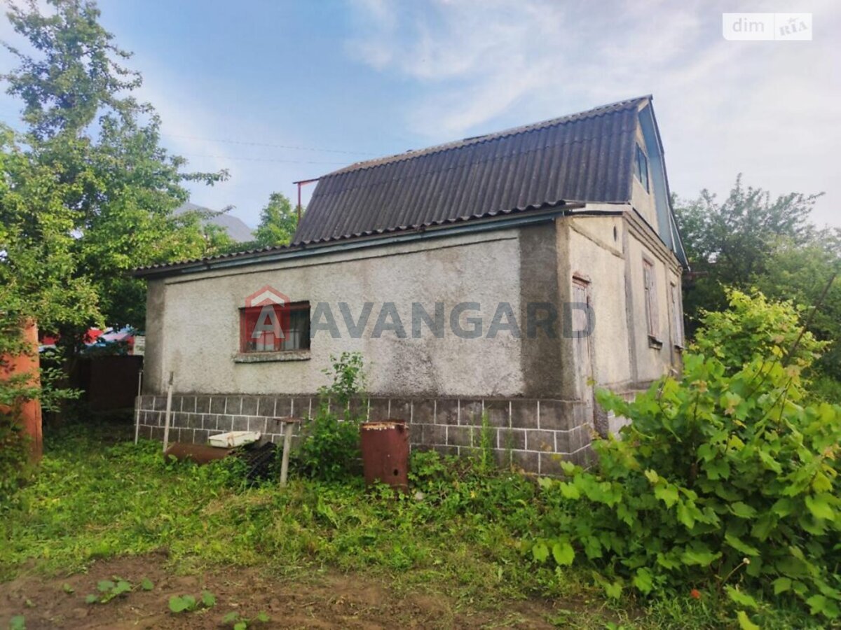 �������, 50 ��.�. ���� 2