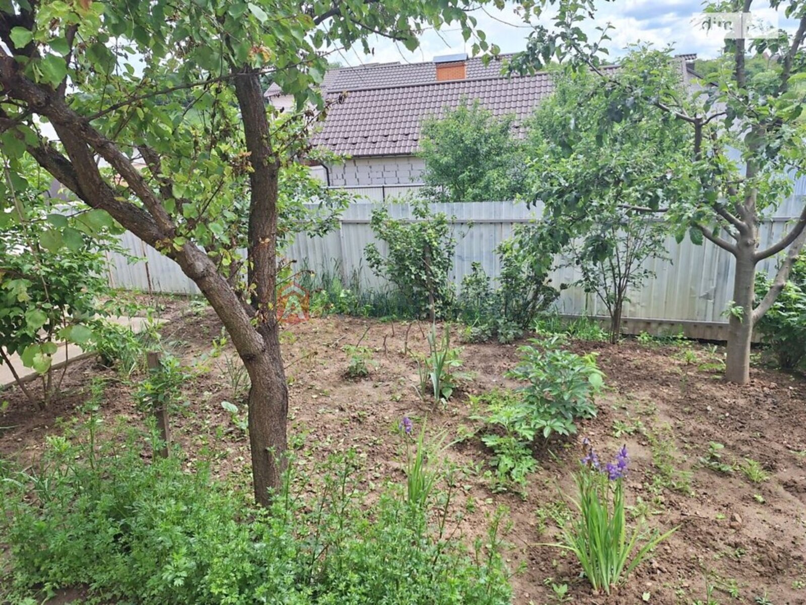 �������, 143 ��.�. ���� 23