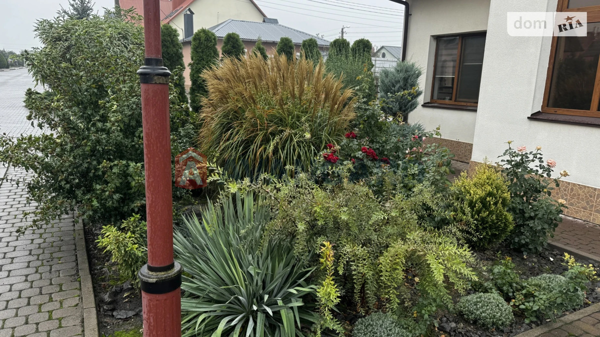 �������, 240 ��.�. ���� 5