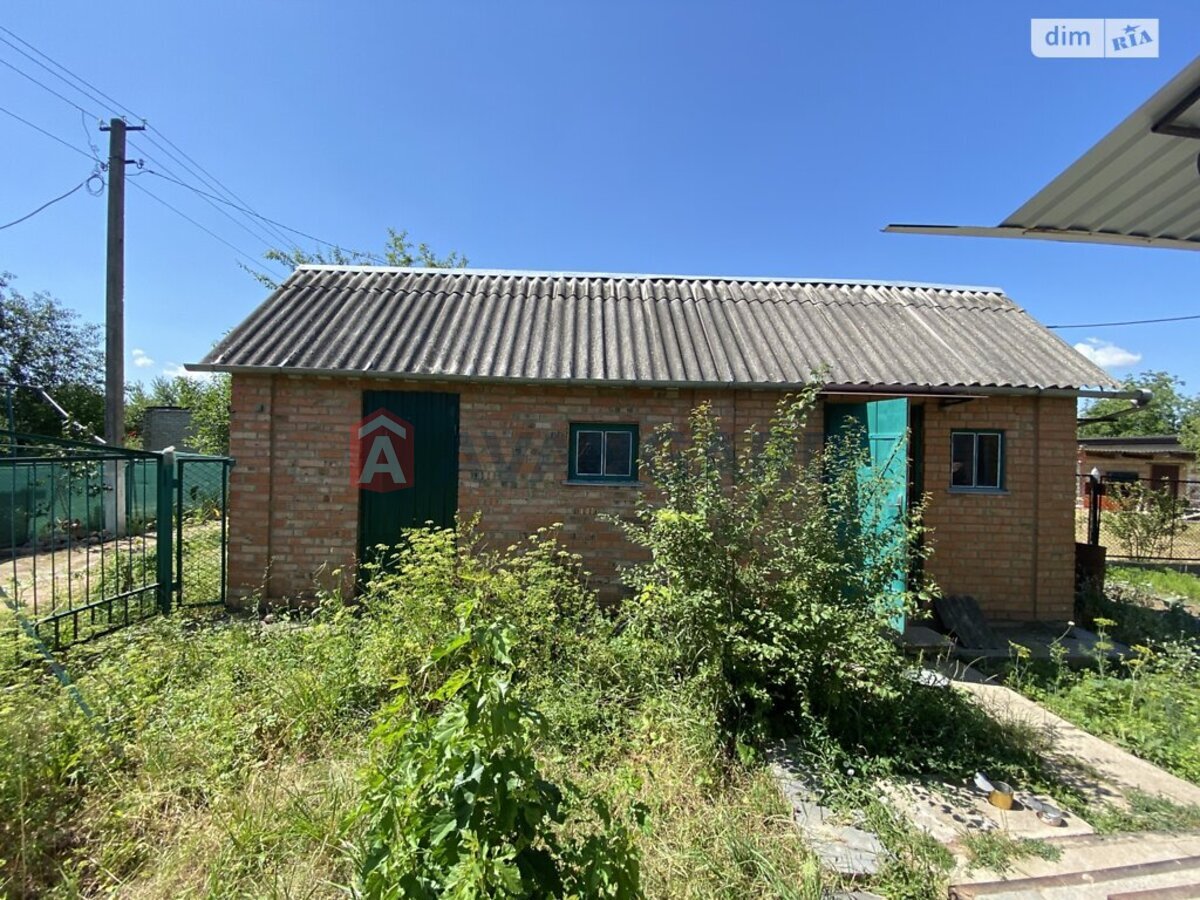 ���, 37 ��.�. ���� 5