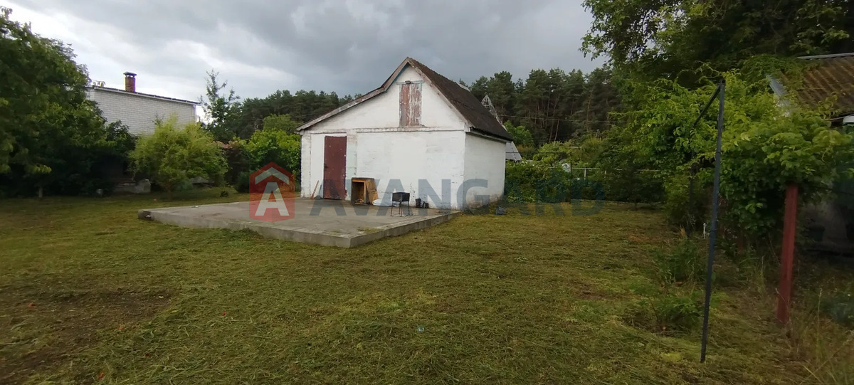 ����, 40 ��.�. ���� 5