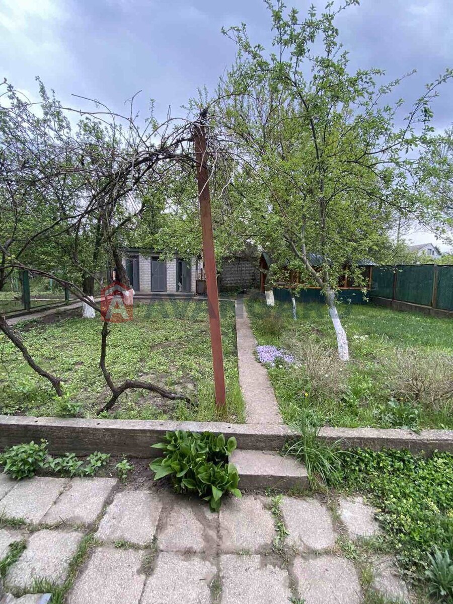 ���� ���� 7