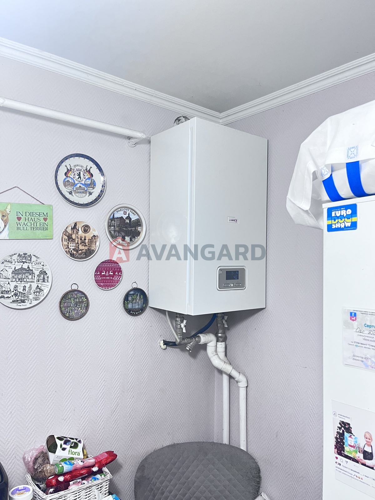 ���, 50 ��.�. ���� 7