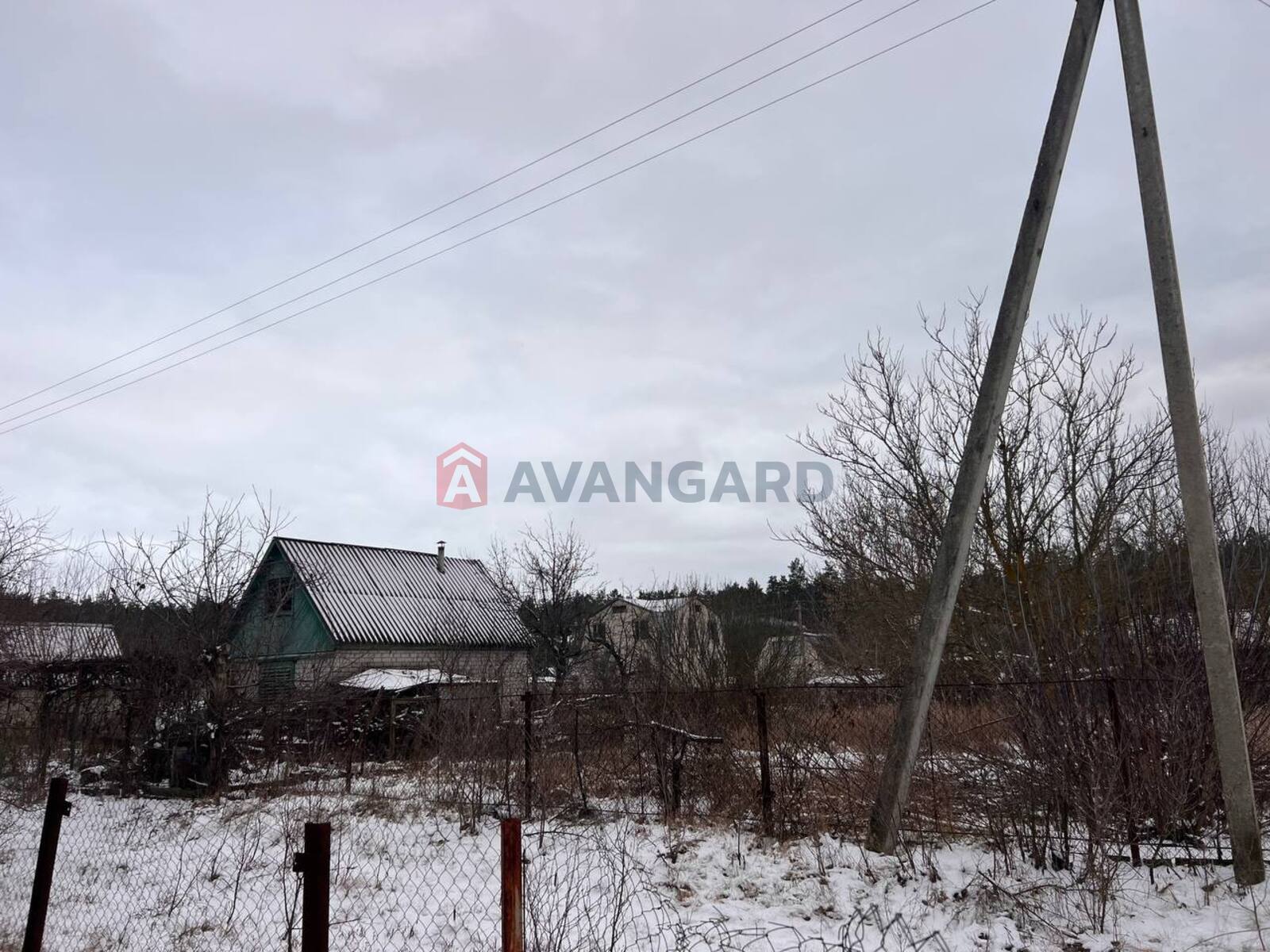 ����, 50 ��.�. ���� 23