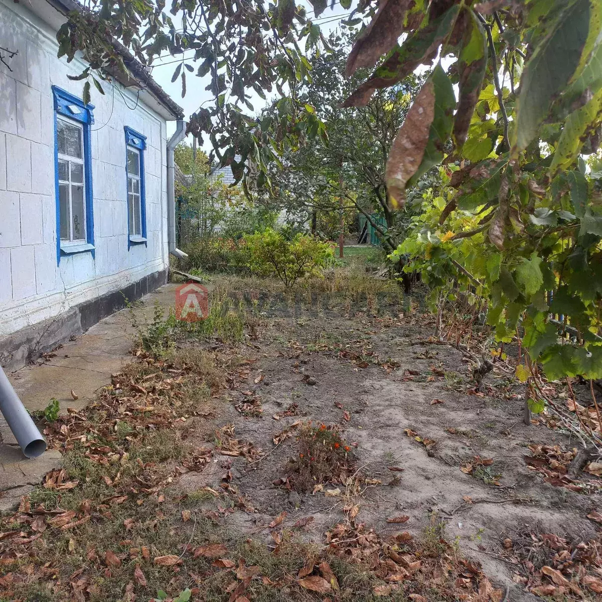 �������, 58 ��.�. ���� 18