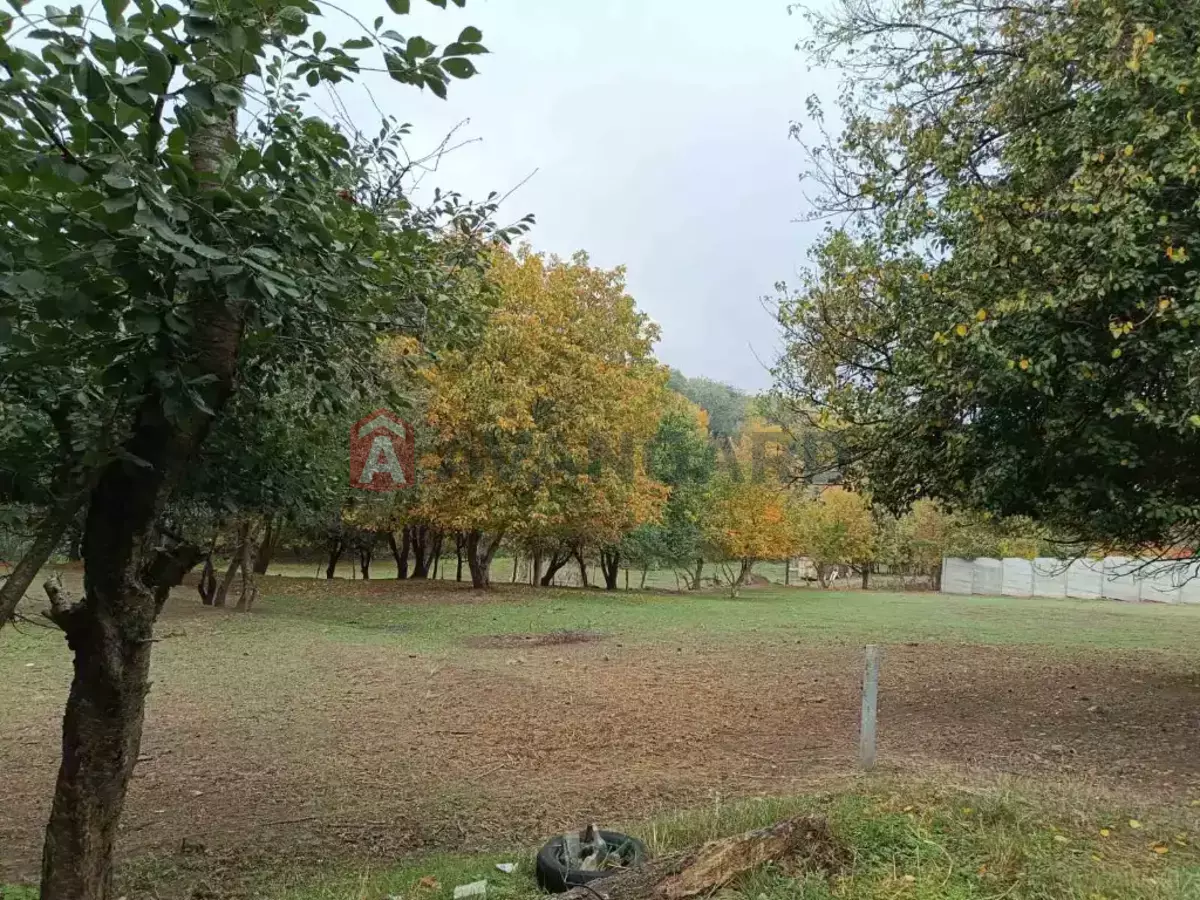 �������, 230 ��.�. ���� 4