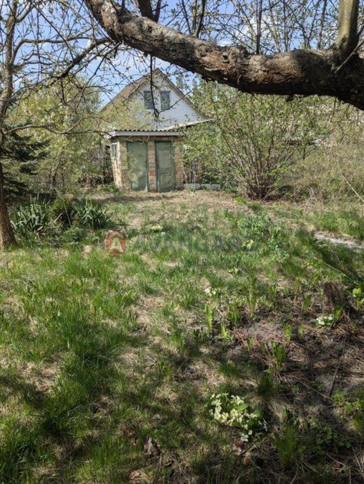 �������, 86 ��.�. ���� 10