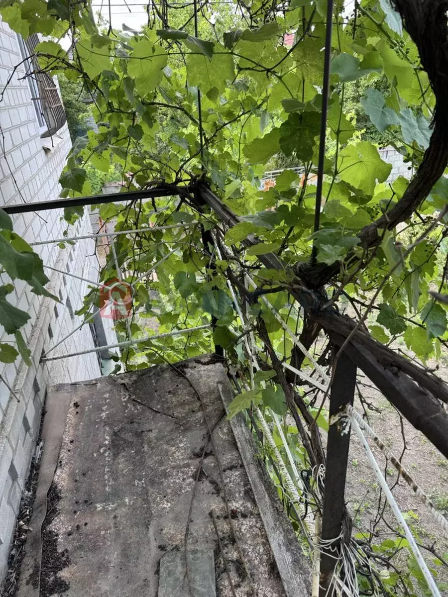 ����, 55 ��.�. ���� 6