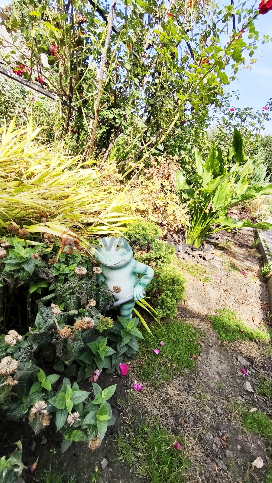 ���, 140 ��.�. ���� 23