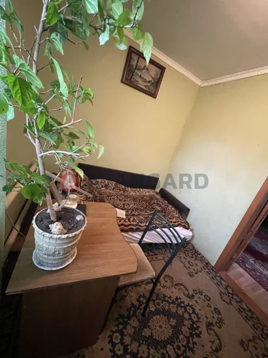 ������� �������, 35 ��.�. ���� 3