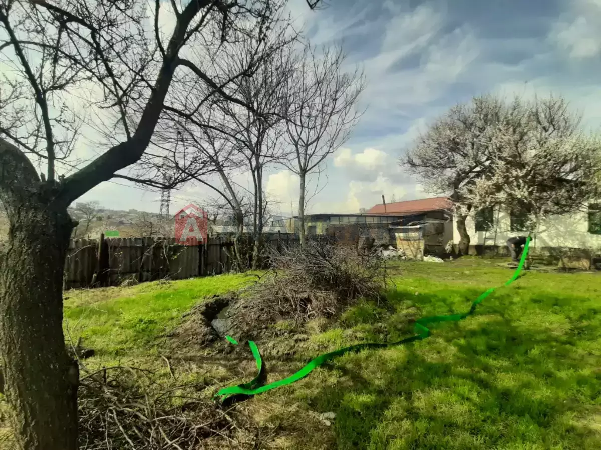 ���, 48 ��.�. ���� 7