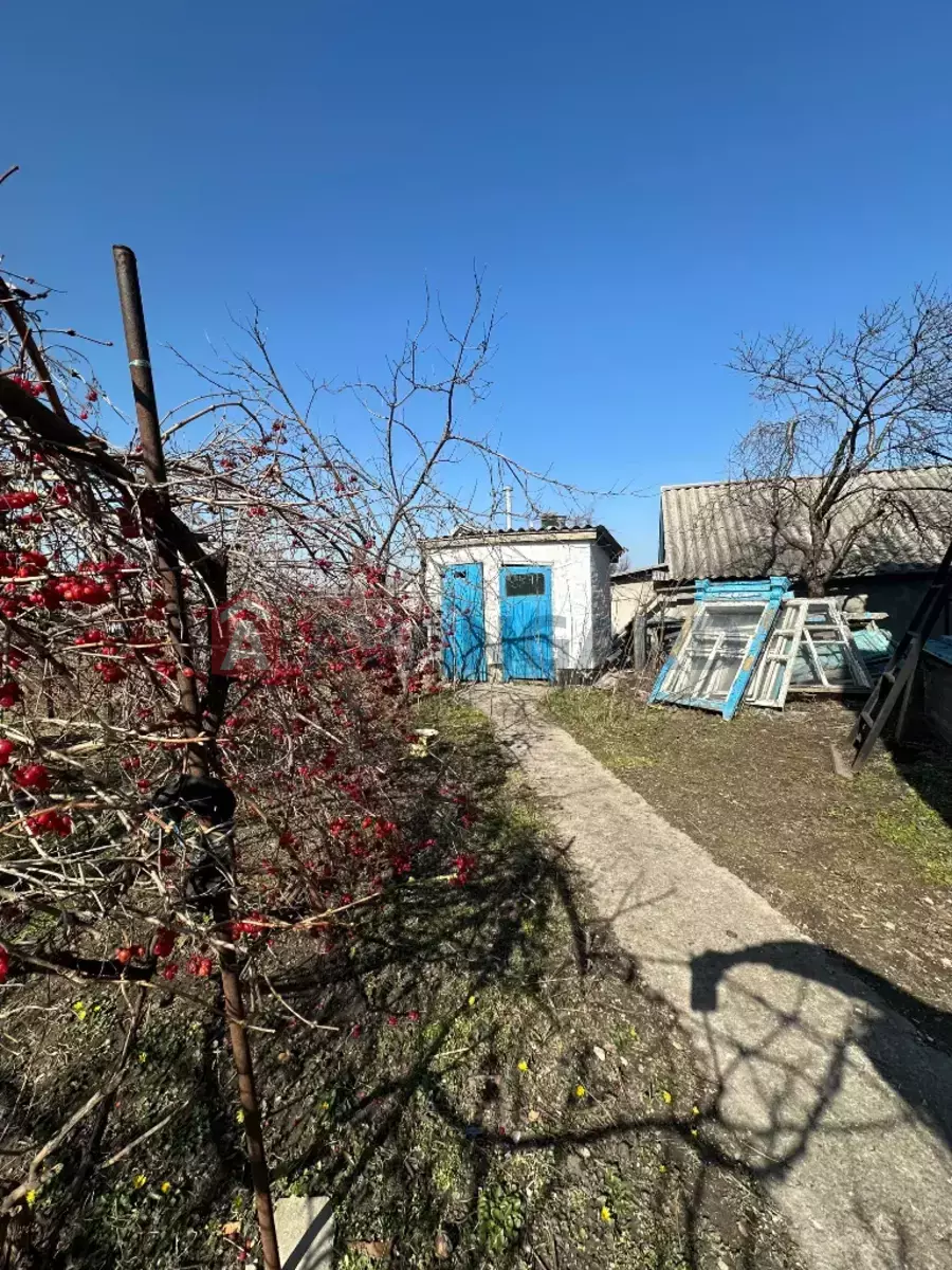 �������, 65 ��.�. ���� 12