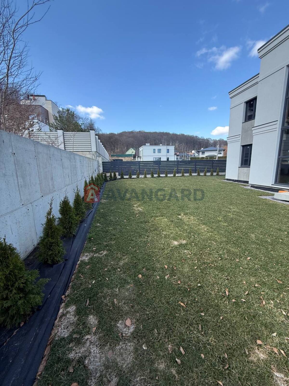 �������, 217 ��.�. ���� 8