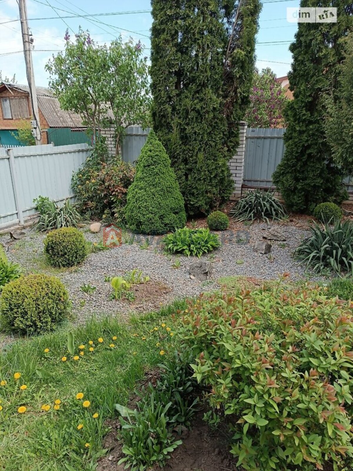 ���, 84 ��.�. ���� 29