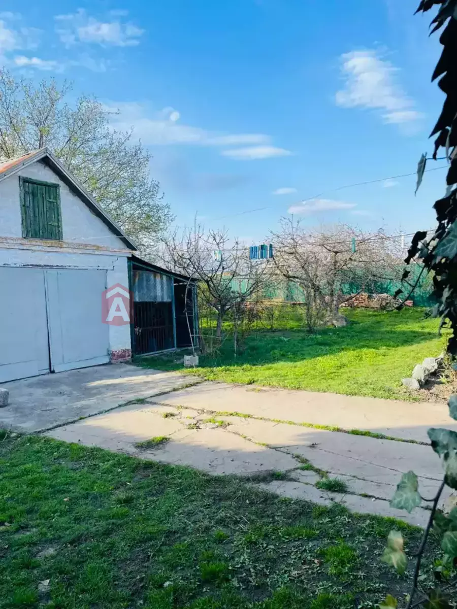 �������, 50 ��.�. ���� 3