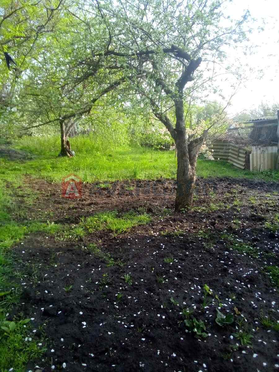 �������, 73 ��.�. ���� 8