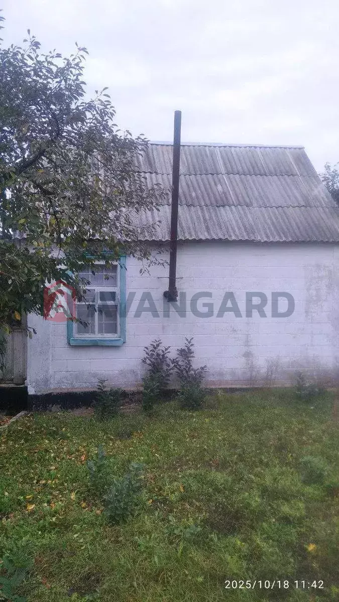 ����, 18 ��.�. ���� 3