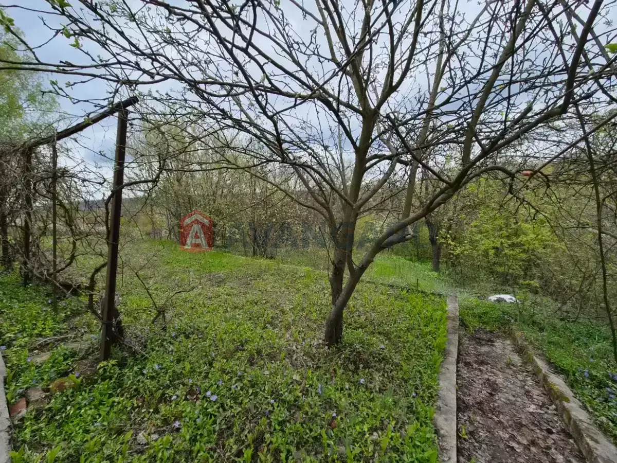 ����, 35 ��.�. ���� 7