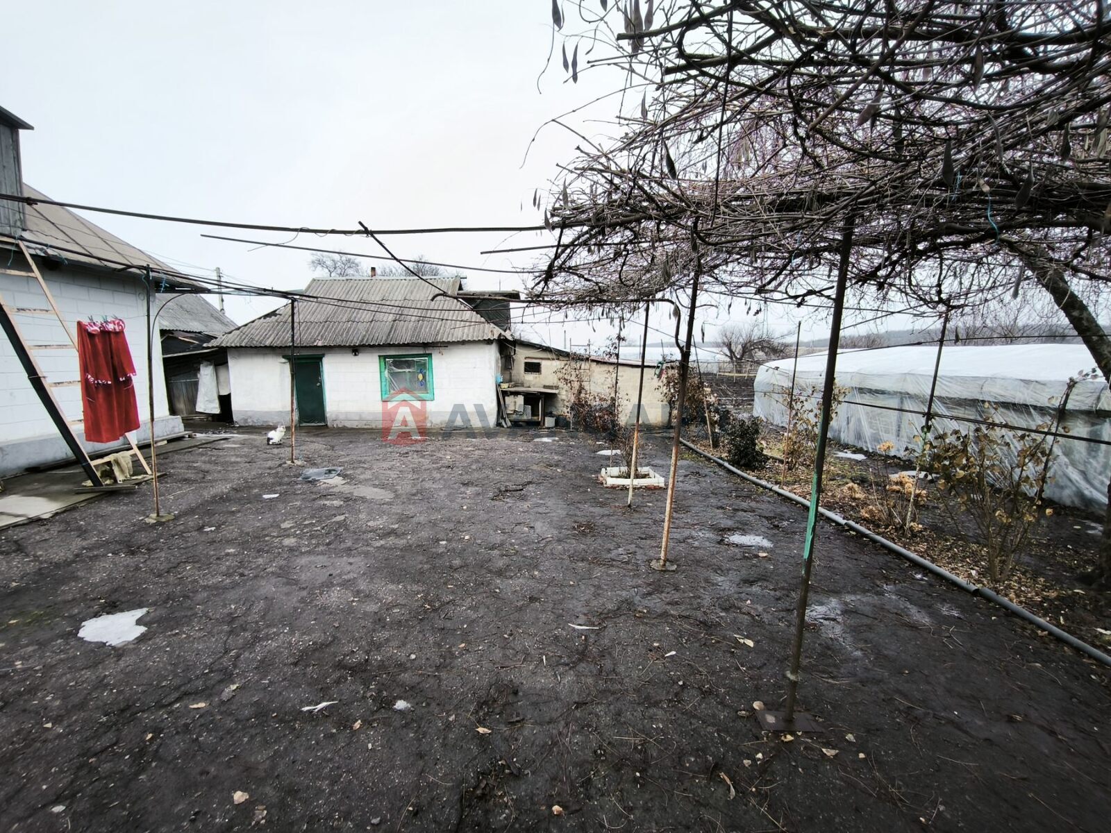 �������, 32 ��.�. ���� 4