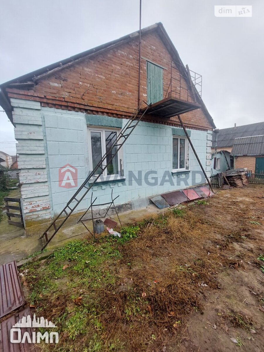 ����� ����, 36 ��.�. ���� 5