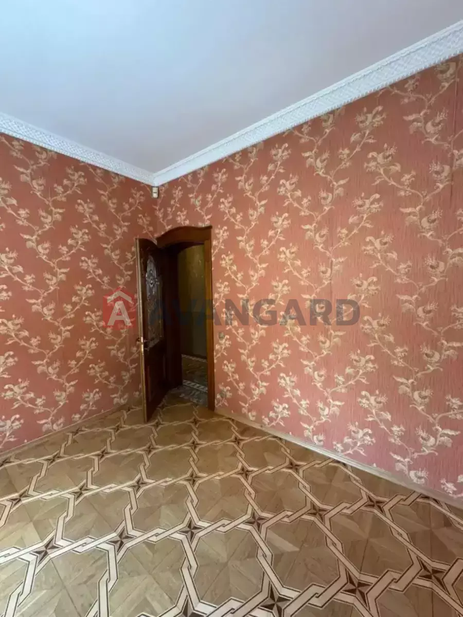 �������, 150 ��.�. ���� 5